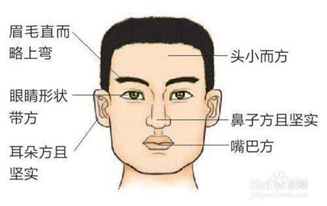 水型人帶木|【水型人面相】水型人面相特徵揭密 – 五行面相探秘！